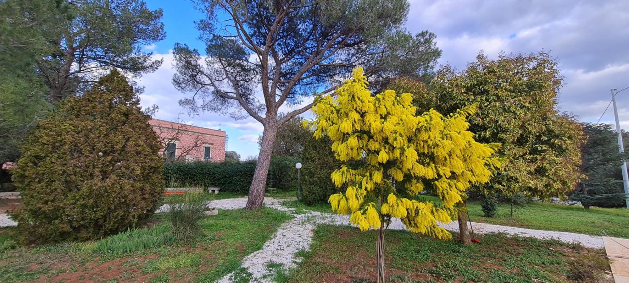 Morea-relax In Piscina